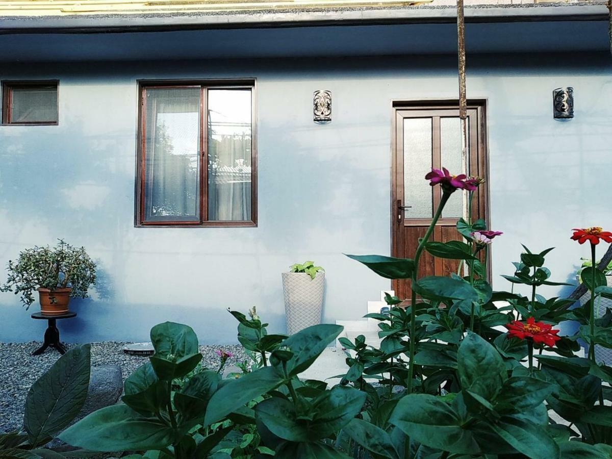 Rudolf Borjomi Exterior foto